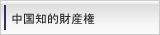 中国知的財産権